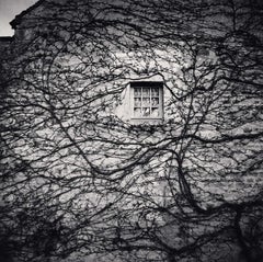 The Window et les vignes, Abbaye de Fontenay, Bourgogne, France - Photo en noir et blanc