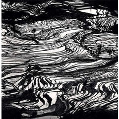 Yuanyang, Study 3, Yunnan, China 1
