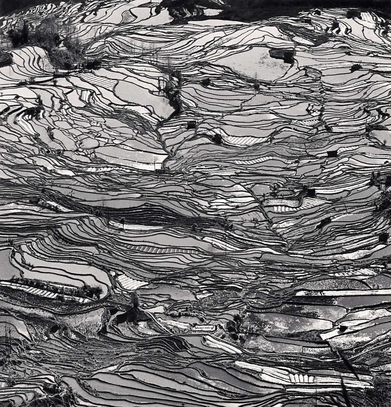 Michael Kenna Landscape Photograph - Yuanyang, Study 5, Yunnan, China