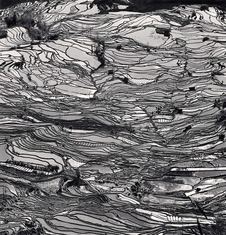 Landscape Photograph di Michael Kenna - Yuanyang, Studio 5, Yunnan, Cina