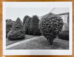 40°32'14.55" N 75°29'57.34"W - Black and White Landscape, Shrubs, Bushes, Trees