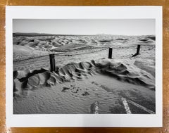 Dune di sabbia di Imperial, California - Paesaggio in bianco e nero, West, Deserto