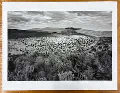 Howell, Utah - Black and White, Desert, Mountains, Shrubs, Landscape