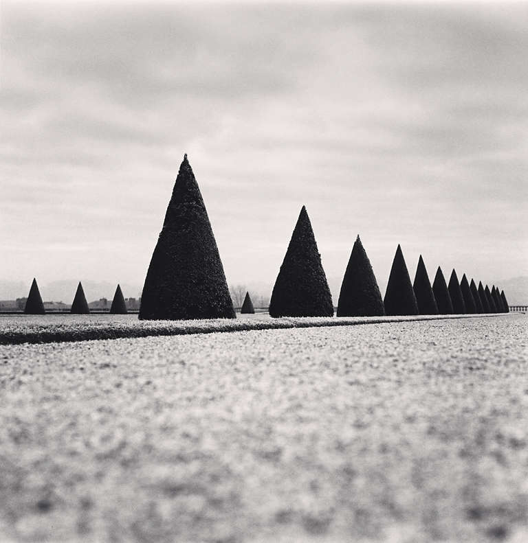 Michael Kenna Landscape Photograph – Achtzehn Hedges, Versailles, Frankreich