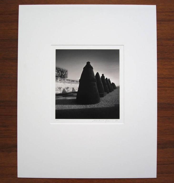 Michael Kenna – Atget's Trees, Study 3, Parc St. Cloud, Paris ...