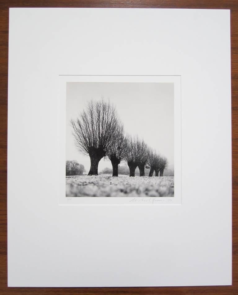 Seven Pollarded Trees, Capaize, Bourgogne, France - Photograph by Michael Kenna