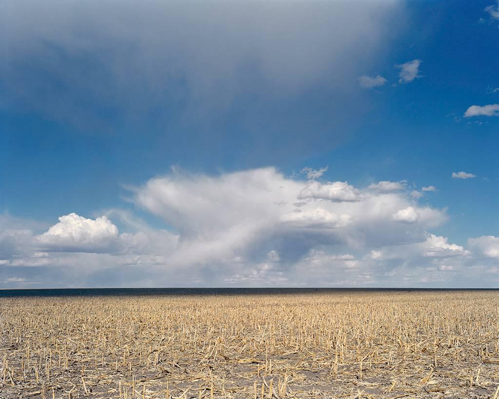 Peter Brown Color Photograph - Wheat and Cloud, Wray, Colorado