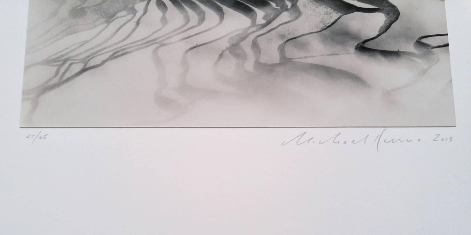 Yuanyang, Étude 1, Yunnan, Chine - Noir Landscape Photograph par Michael Kenna