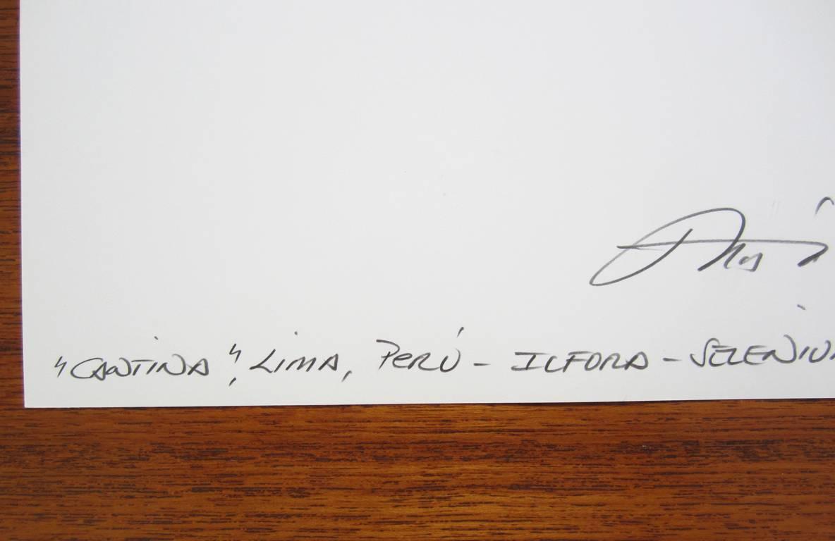 Pas d'édition
Impression à tonalité sélénium
Signé, titré et daté au crayon au verso par Mario Algaze
Imprimé en 1996
Format du papier : 14 x 11 pouces. Taille de l'image : 9 1/2 x 9 1/2 in. 

Mario Algaze est un photographe cubano-américain
