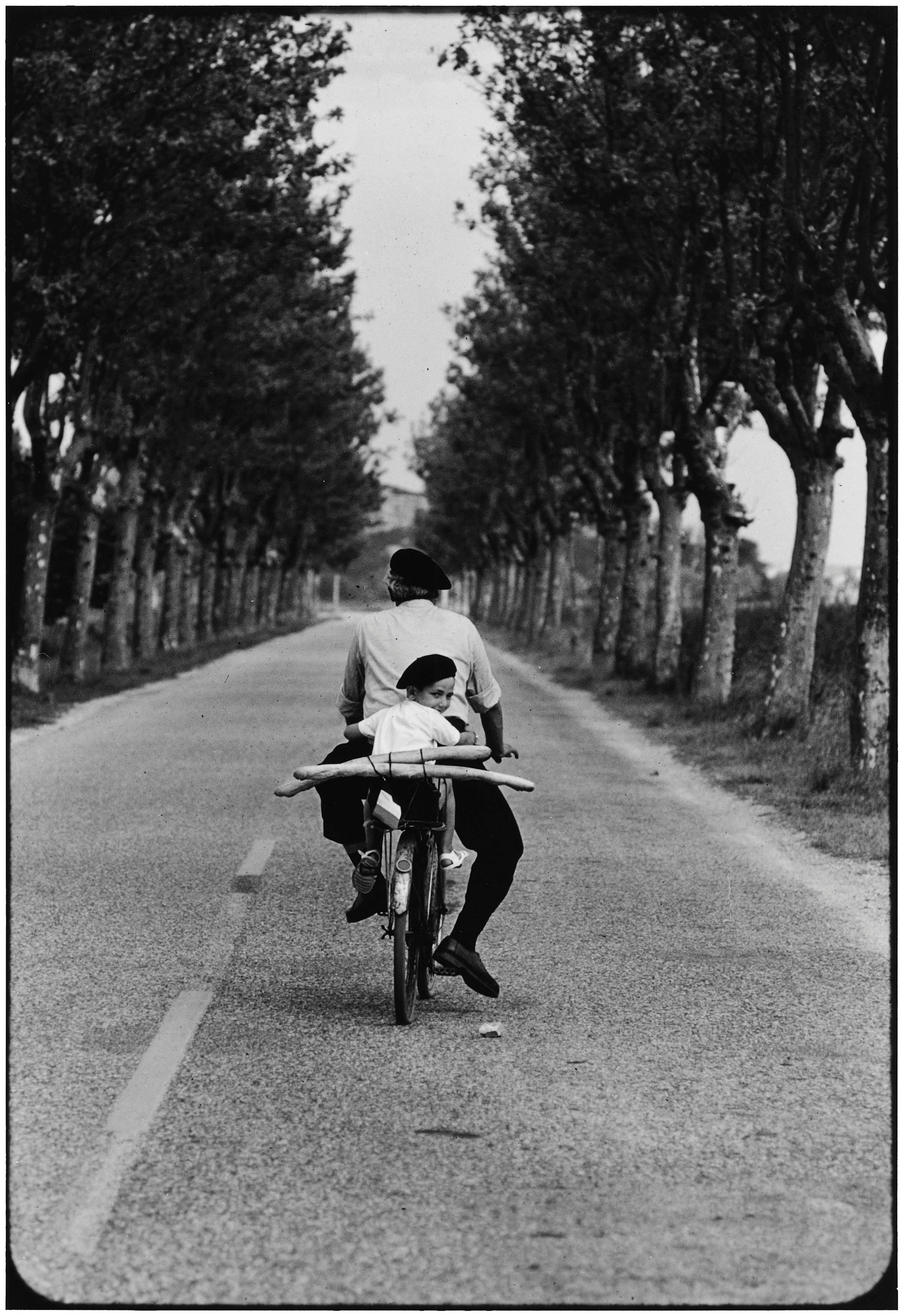 Elliott Erwitt Portrait Photograph - Provence, France (Boy, bicycle & baguette)