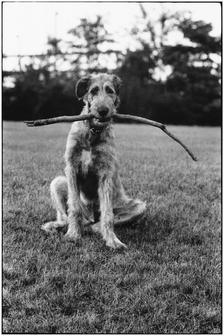 <i></noscript>New Jersey, 1971, by Elliott Erwitt