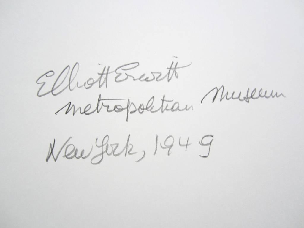Museo Metropolitano de Nueva York 1