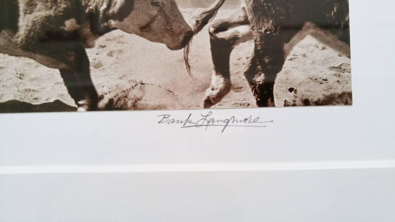 Sans titre (Cowboy on Horseback (Cowboy à cheval) - Moderne Photograph par Bank Langmore