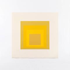 ORGANIC YELLOW