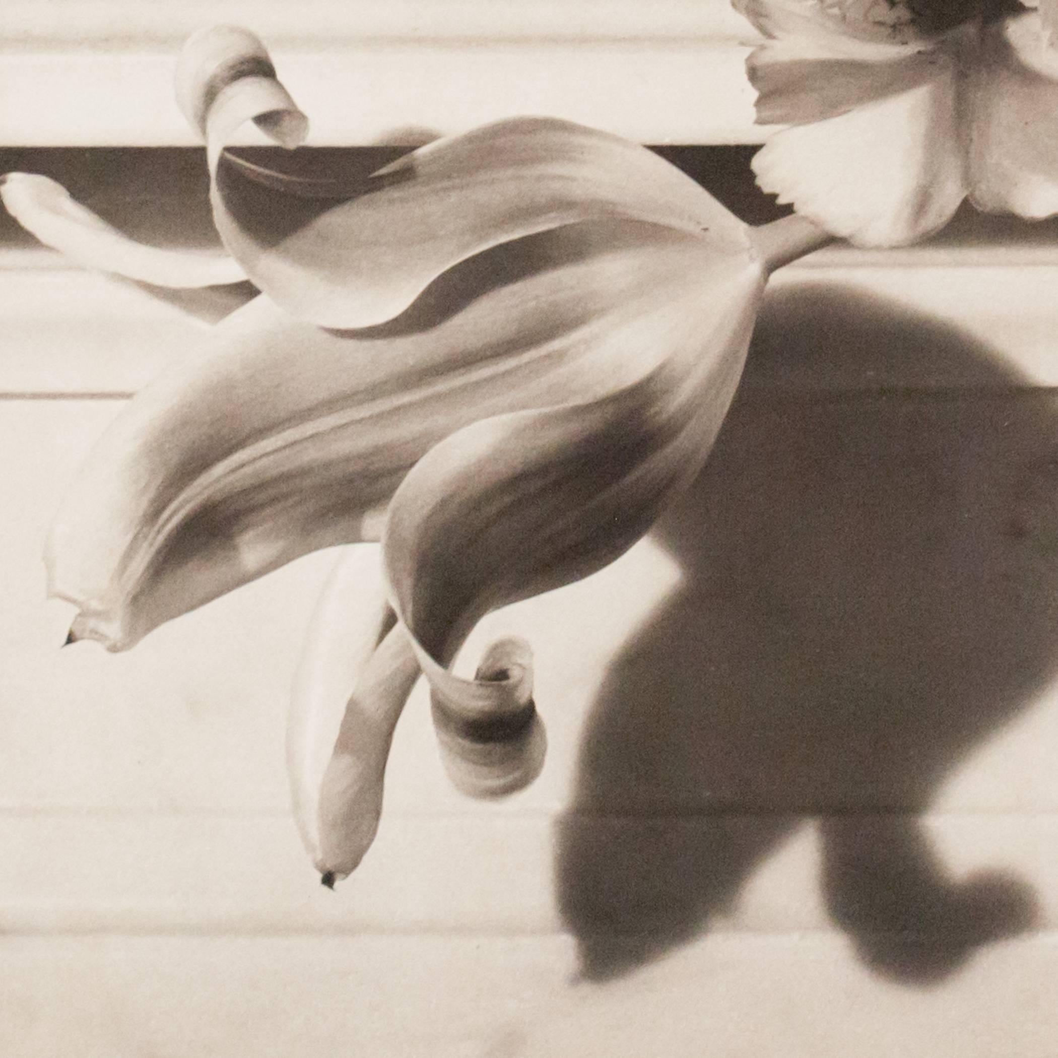 Horst P. Horst (1906 - 1999) is one of the most revered and important fashion photographers of the 20th century. 

Horst began his six decade long association with Vogue in 1931 - by the end of the decade he had published in all 3 versions, on