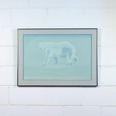 Bear in Mind the Light 6