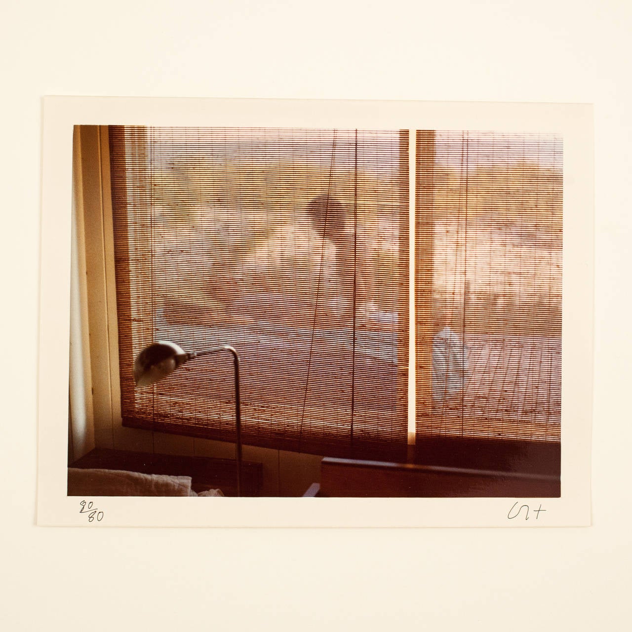 David Hockney Landscape Photograph - The Pines, Fire Island