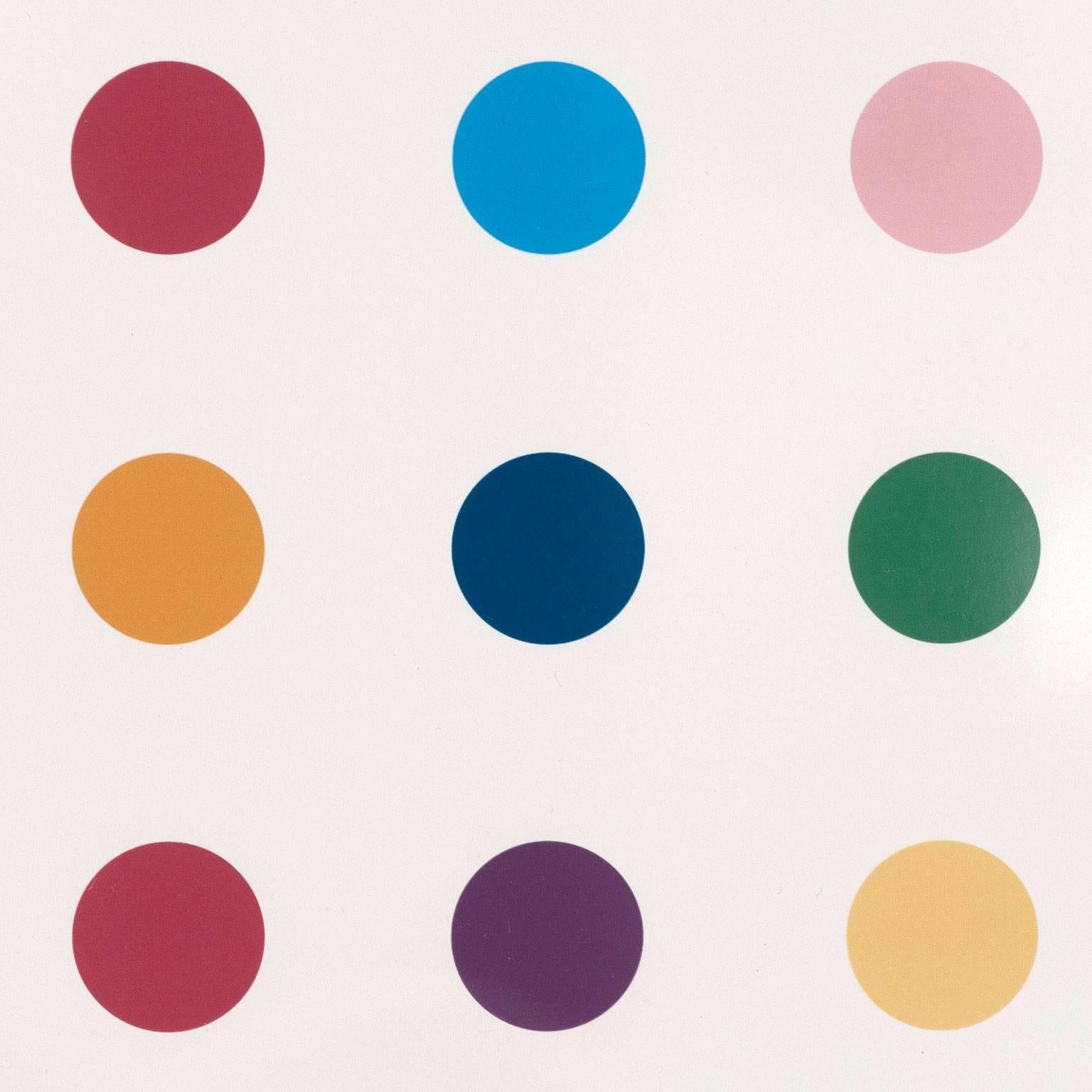 Opium - Gray Abstract Print by Damien Hirst