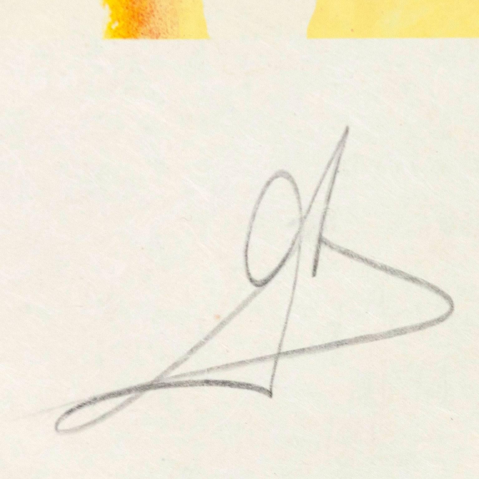 Salvador Dali 