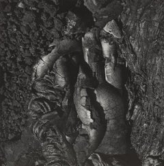 Vulcano 103