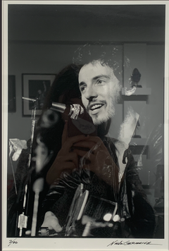 Bruce Springsteen V