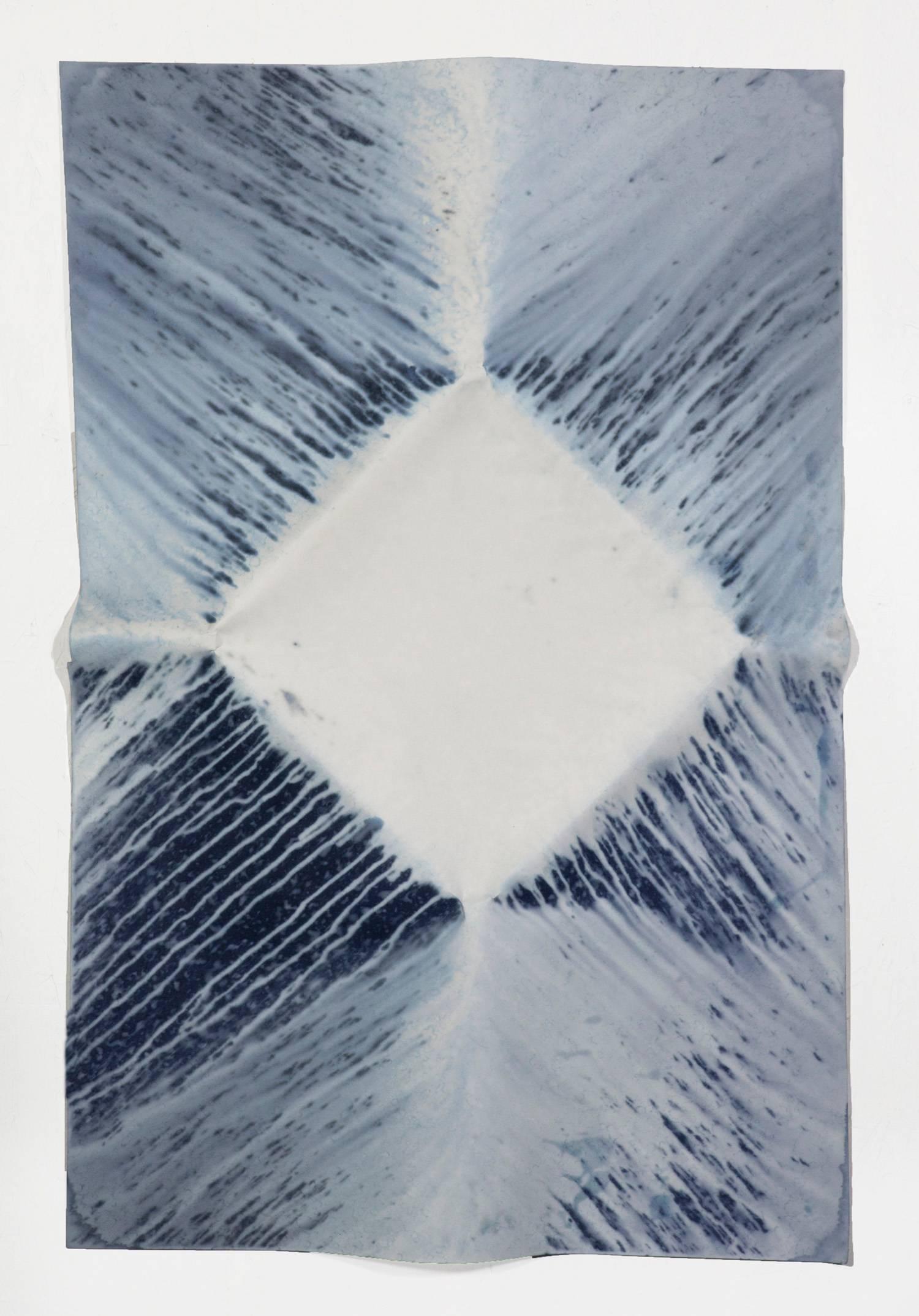 Meghann Riepenhoff Abstract Photograph - Ecotone #2 (Bainbridge Island, WA 04.27.16, Draped with Sun Showers)