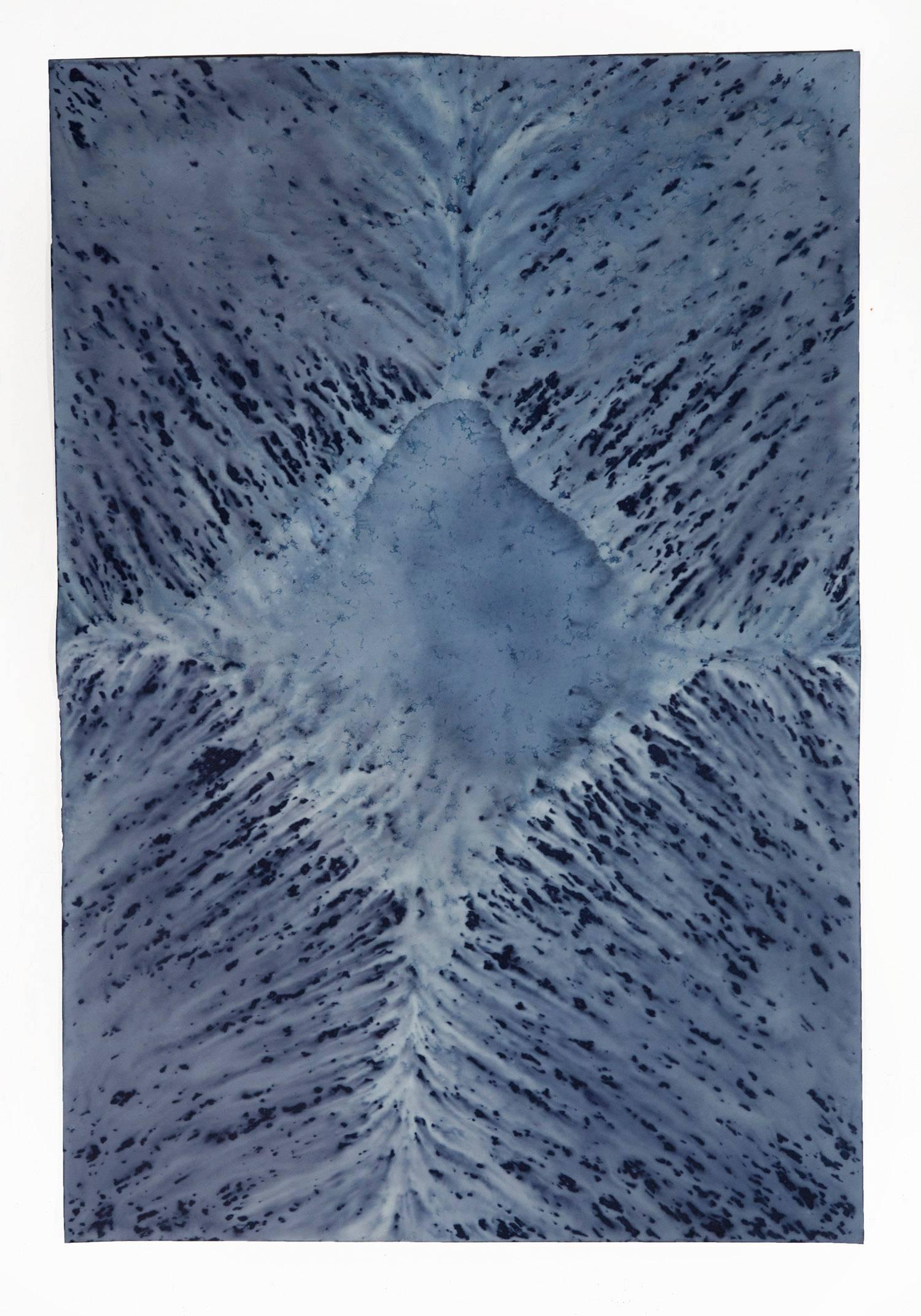 Meghann Riepenhoff Abstract Photograph - Ecotone #18 (Bainbridge Island, WA 08.17.16, Draped with Pooling Precipitation)