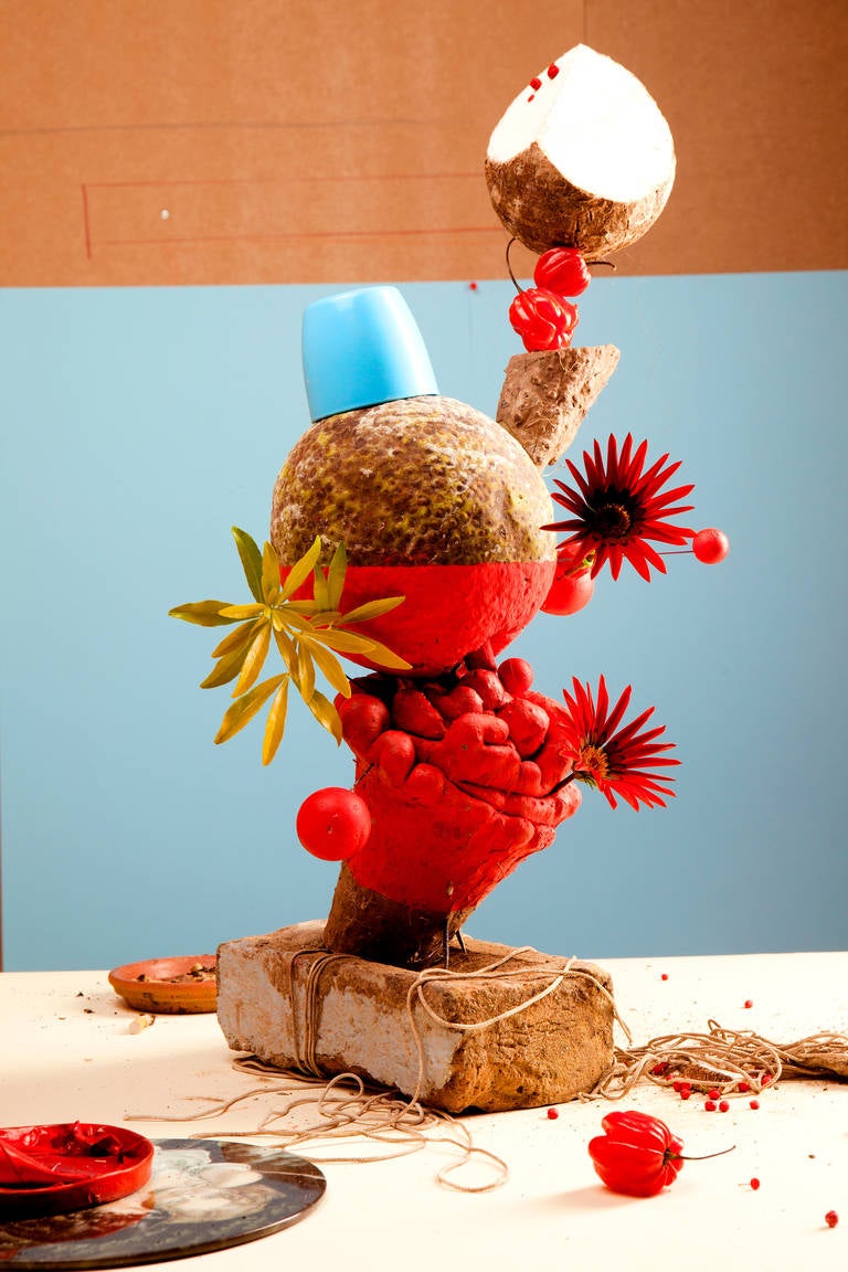 lorenzo vitturi red still life photograph for sale at as is car bill of sale