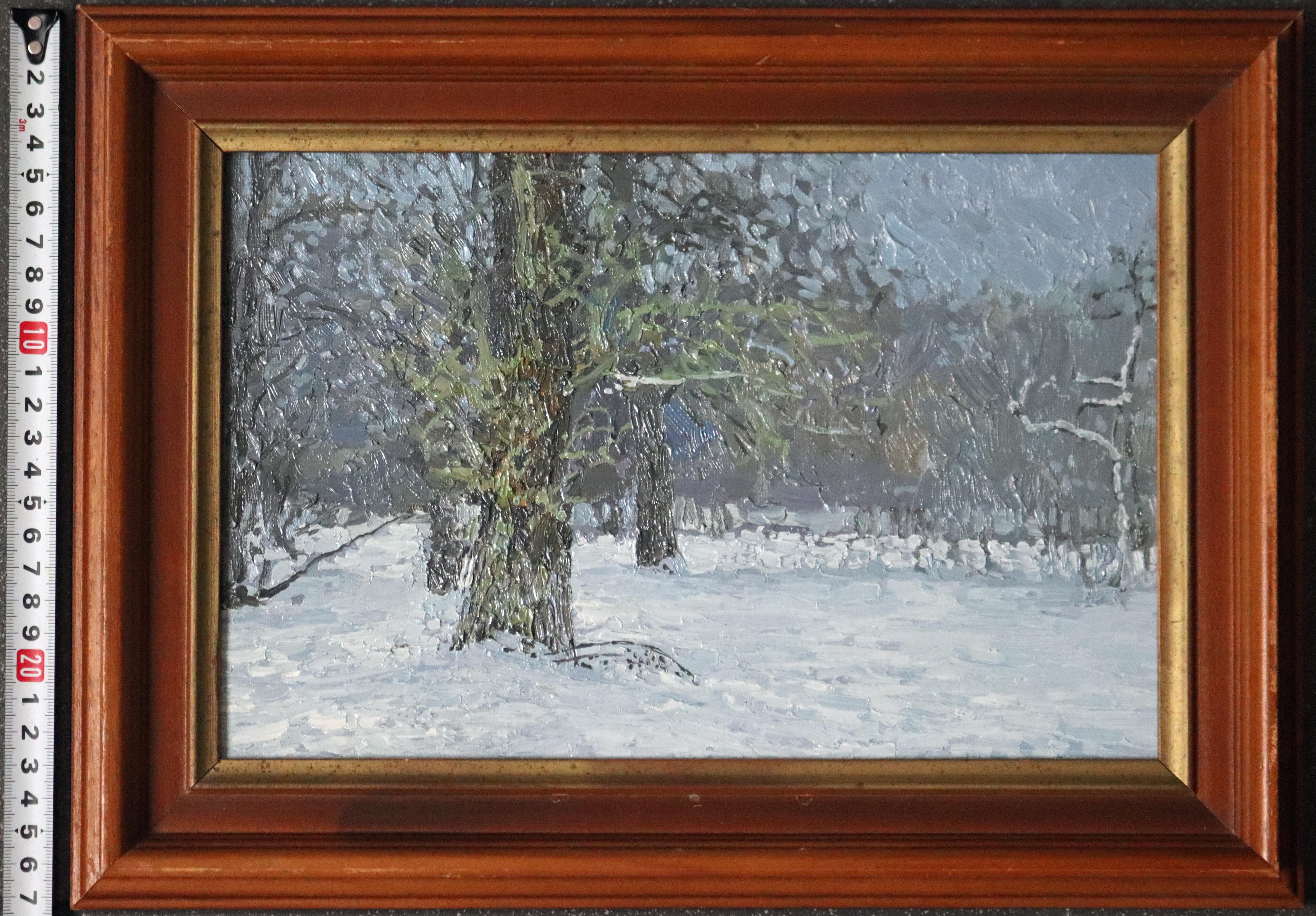 December. Old poplar in Tsaritsyno. Winter Impressionist Oil landscape with tree For Sale 7