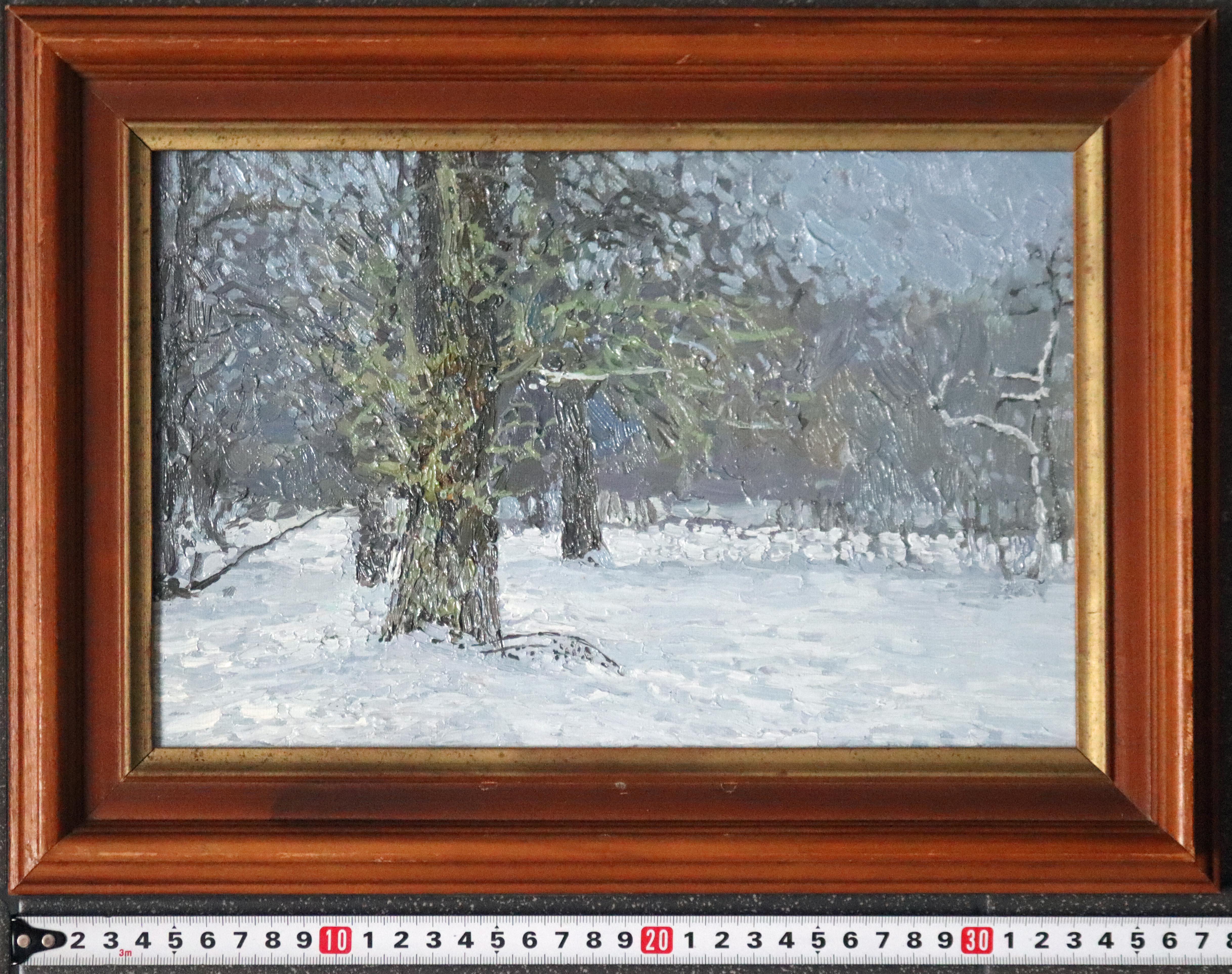 December. Old poplar in Tsaritsyno. Winter Impressionist Oil landscape with tree For Sale 8