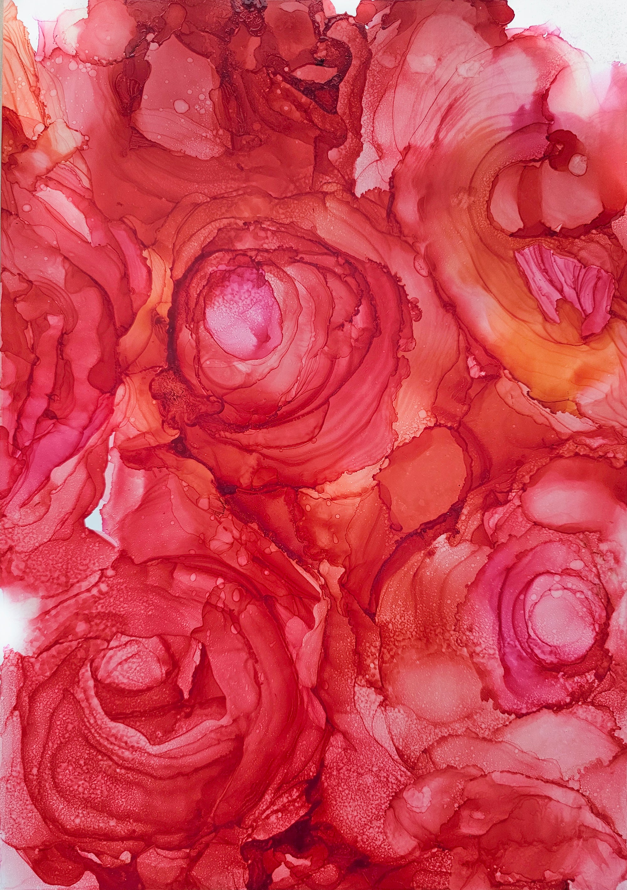 Rose rosse. Astrazione
