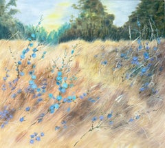 Wild chicory