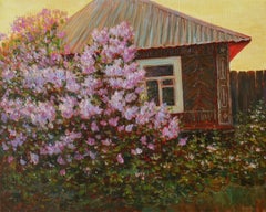 Fleurs de l'heure dorée