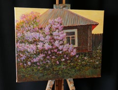 Fleurs de l'heure dorée