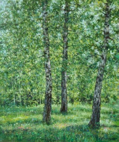 Birken im Sommerlicht