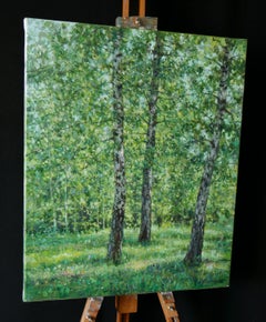 Birken im Sommerlicht