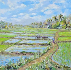 Two Water Buffalo and Figure in Rice Fields