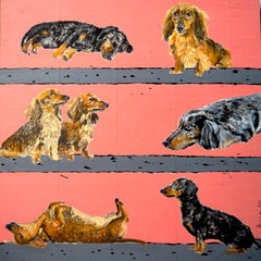 Portrait Dachshund Dog Chiens couchés chiens assis - FRENCH SCHOOL