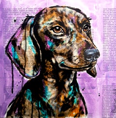 Ritratto di un bassotto Disco - SCUOLA FRANCESE Chut les Barbizons! CANE
