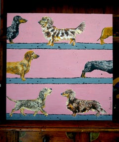 Sfilata di bassotti in primo piano 2 - SCUOLA FRANCESE Chut les Barbizons! CANE