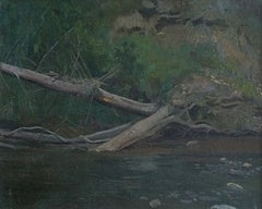 A broken tree in the Semyn River near the village of Sutoki