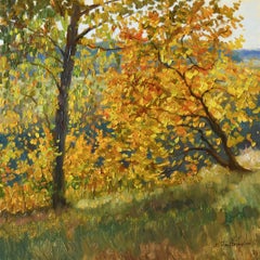 Blaze of Autumn Leaves