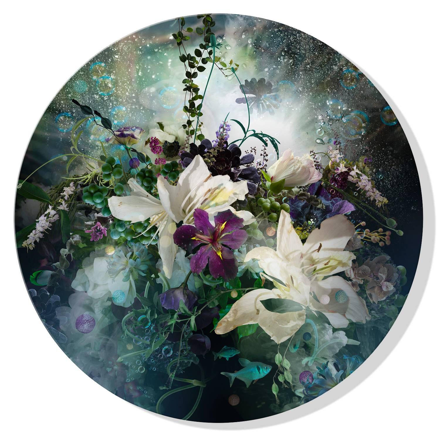 Ysabel Le May Abstract Photograph - Dreamlike underwater floral composition with fish