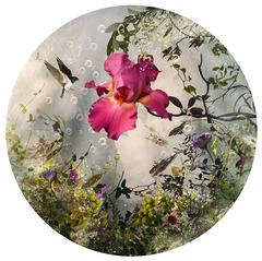 Round shape, romantic, dreamlike pink flowers and bird composition, ARCADIA
