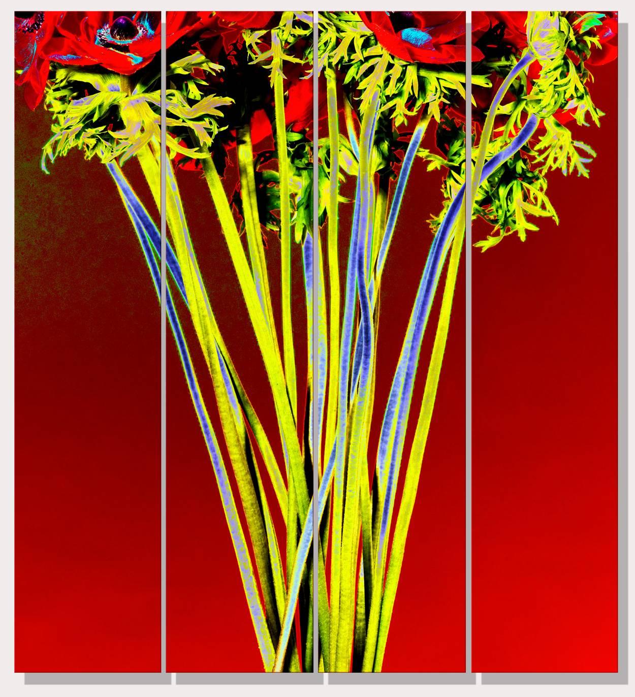 Albert Delamour Color Photograph - REDSOL, Red flower bouquet, human size flower bouquet, 
