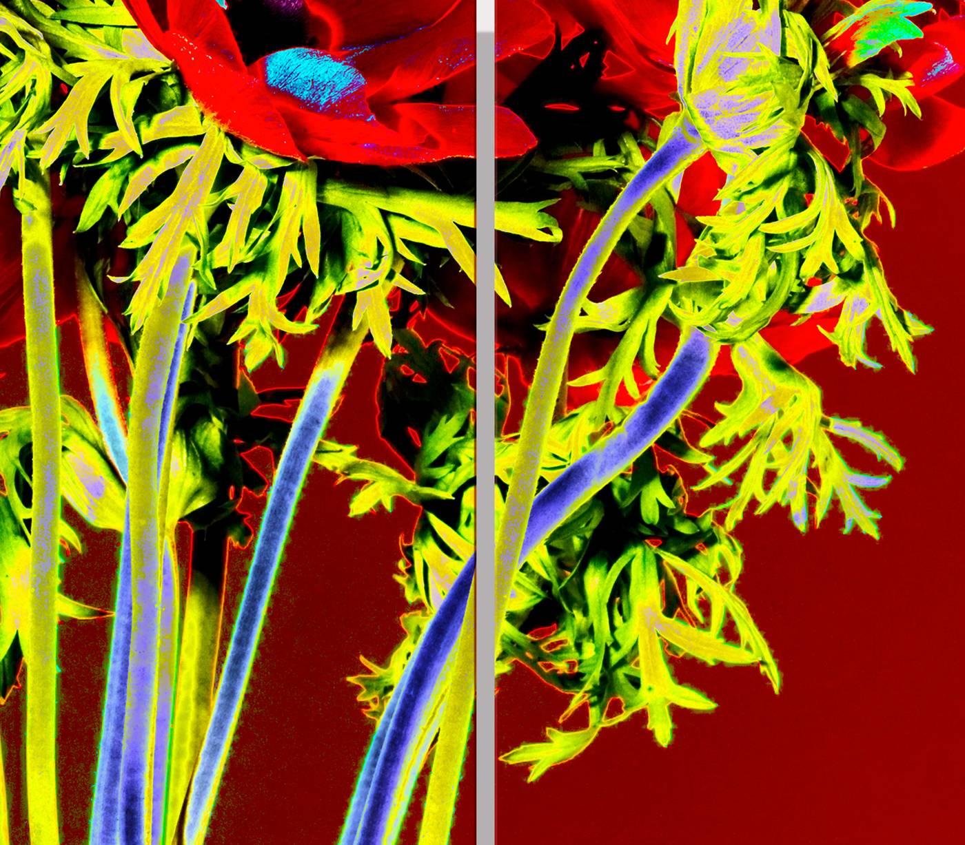 REDSOL, Red flower bouquet, human size flower bouquet,  - Abstract Photograph by Albert Delamour