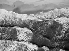 Beach photography, Black and White, Montauk, Push the Monkey