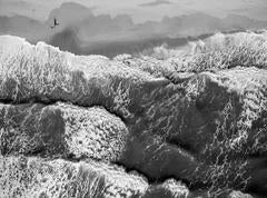 Beach photography, Black and White, Montauk, Push the Monkey 