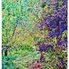 Wonderland, colorful mix media 11