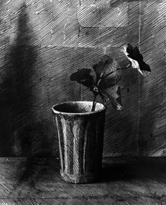 Homage to Morandi, Black and white still life photography, Flower in a Jar. 